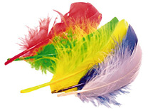 Pluimen - veren - 15 cm - decoratie - set van 50 assorti