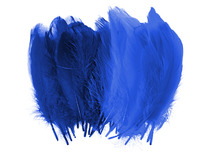 Pluimen - 15 cm - decoratie - blauw - set van 50