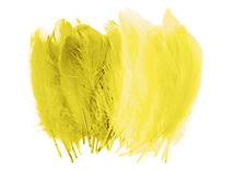 Pluimen - 15 cm - decoratie - geel - set van 50