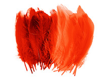 Pluimen - 15 cm - decoratie - rood - set van 50