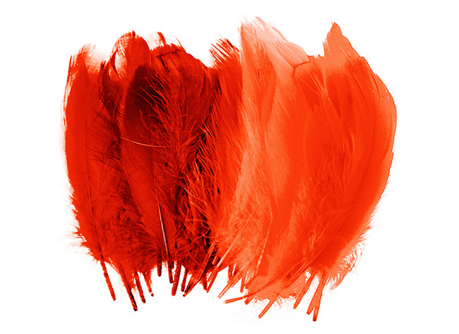 Pluimen - 15 cm - decoratie - rood - set van 50