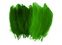 Pluimen - 15 cm - decoratie - groen - set van 50