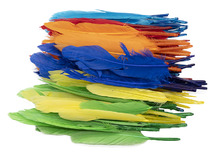 Pluimen - 9-14 cm - gekleurd - decoratie - set van 100