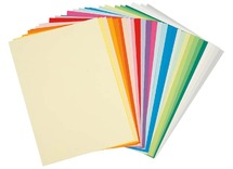 Papier - tekenpapier - A4 - 80 g - gekleurd - assortiment van 290 vellen