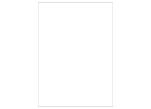 Etiketten - zelfklevend - fotokopie en printers - A4 - per 100