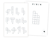 Ruimtelijk inzicht - Pentomino - opdrachtkaarten voor LV1150 - tetris - denkspel - nabouwen - set van 15 assorti