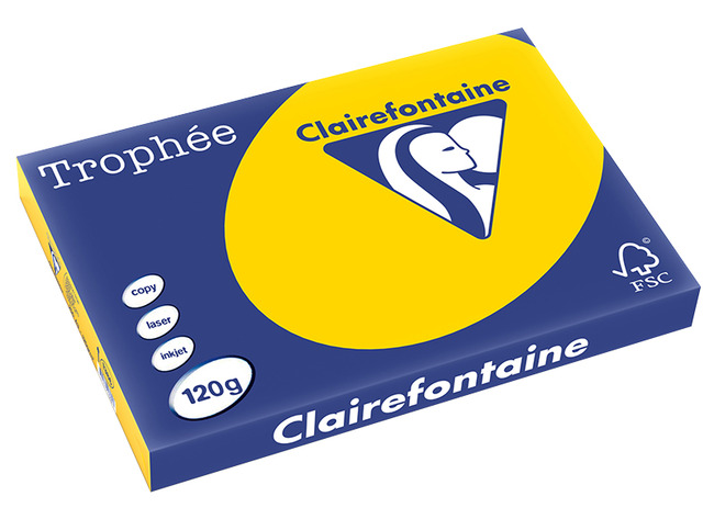 Papier - fotokopieerpapier - Clairefontaine Trophée - A3 - 120 g - pastel - goudgeel - pak van 250 vellen