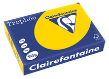 Papier - fotokopieerpapier - Clairefontaine Trophée - A4 - 160 g - pastel - goudgeel - pak van 250 vellen
