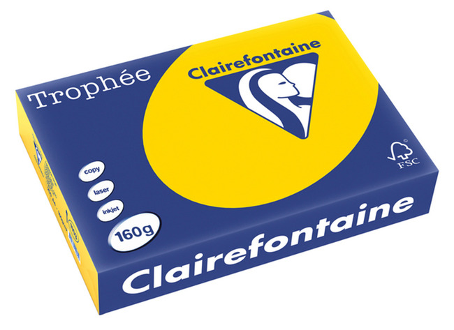 Papier - fotokopieerpapier - Clairefontaine Trophée - A4 - 160 g - pastel - goudgeel - pak van 250 vellen