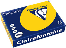 Papier - fotokopieerpapier - Clairefontaine Trophée - A4 - 160 g - zonnegeel - pak van 250 vellen