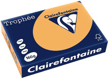 Papier - fotokopieerpapier - Clairefontaine Trophée - A4 - 160 g - pastel - karamel - pak van 250 vellen
