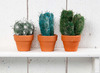 Wol - vilt - gekleurd - decoratie - set van 10 assorti