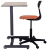 STOEL - RAY - 44-61 CM