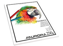 Papier - Aurora - Steinbach - tekenpapier - tekenblok - 27 x 36 cm - 250 g - 20 vellen - per blok