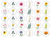 Stickers - Apli Kids - wilde bloemen - 20 mm - set van 900 assorti