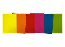 Bristol - knutselpapier - gekleurd - 160 g - 45 x 64 cm - per 60 - assortiment van 6kl
