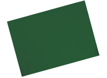 Knutselpapier - Bristol - 160 g - 45 x 64 cm - dennegroen - set van 10