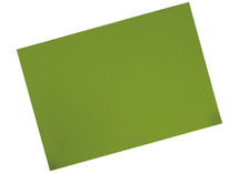 Knutselpapier - Bristol - 160 g - 45 x 64 cm - grasgroen - set van 10