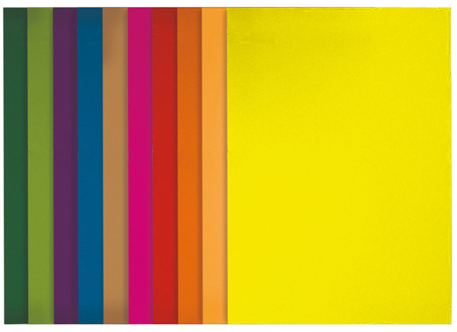 Bristol couleurs vives - 45 x 64 cm - 160g - 10 flles par coul
