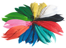 Decoratie - pluimen - indianenveren - 10-15 cm - set van 100 g assorti