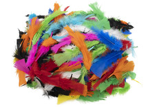 Pluimen - 10-20 cm - gekleurd - decoratie - per set