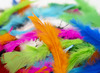 Pluimen - 10-20 cm - gekleurd - decoratie - per set