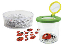 Kweekset - lieveheersbeestjes - natuurkunde - per set