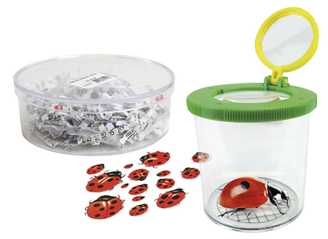 Kweekset - lieveheersbeestjes - natuurkunde - per set