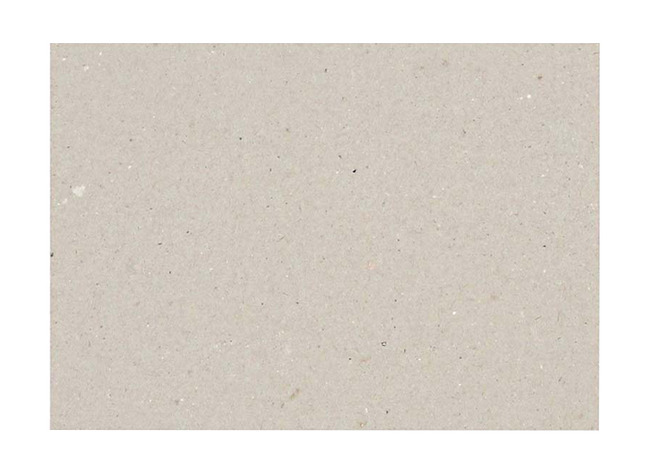 Karton - Eskaboard - grijs - 400 g - 50 x 70 cm - pak van 25 vellen