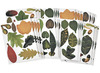 Figuren - bladeren - Roylco - decoratief - bomen - herfst - decoratie - set van 266 assorti
