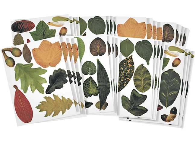 Figuren - bladeren - Roylco - decoratief - bomen - herfst - decoratie - set van 266 assorti