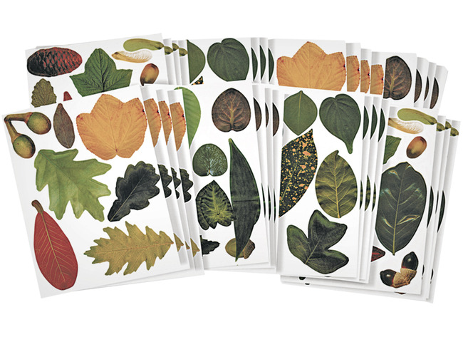 Decoratie - bladeren - decoratief - bomen - herfst - set van 266 assorti