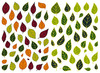 Stickers - bladeren - set van 830 assorti