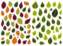 Stickers - bladeren - set van 830 assorti