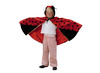 Kleding - verkleedkledij - verkleedcapes - fee, lieveheersbeestje, koning, olifant en meer - set van 13 assorti