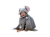 Kleding - verkleedkledij - verkleedcapes - fee, lieveheersbeestje, koning, olifant en meer - set van 13 assorti