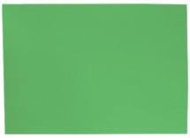 Knutselpapier - Folia - 50 x 70 cm - 130 g - grasgroen - set van 10