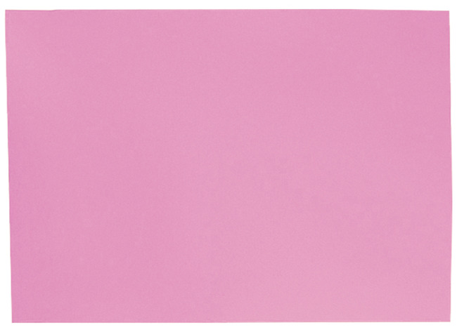 Knutselpapier - Folia - 50 x 70 cm - 130 g - roze - set van 10