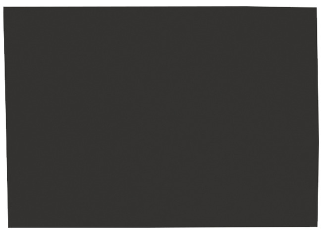 Knutselpapier - Folia - 50 x 70 cm - 130 g - zwart - set van 10