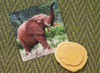 Boetseren - kleistempels - Yellow Door Let's Investigate Safari Footprints - safaridieren - per set