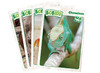 Bouwset - blokken - Biobuddi - dieren - set van 244 assorti