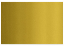 Karton - Bristol - 270 g - 50 x 70 cm - goud - set van 10
