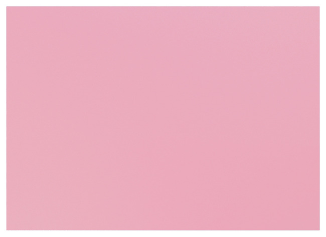 Karton - Bristol - 270 g - 50 x 70 cm - roze - set van 10