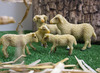 Speelgoed - dieren - boerderijdieren - set van 35 assorti