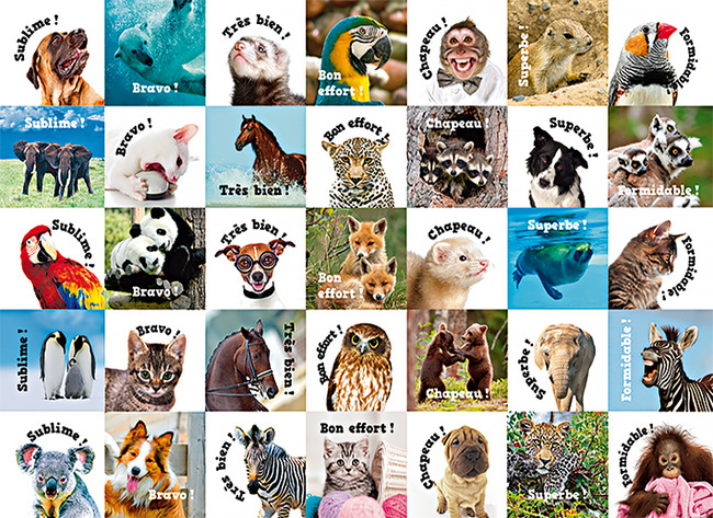 Stickers - motivatie dieren met Franse teksten - 35 motieven - set van 700 assorti