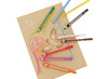 Potloden - kleurpotloden - Pelikan Griffix - driehoekig - dik - etui - set van 9 assorti
