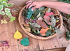 Speelgoed - Yellow Door Sensory Play Stones Leaves - boetseren - per set