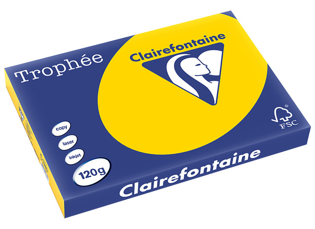 Papier - fotokopieerpapier - Clairefontaine Trophée - A4 - 120 g - pastel - goudgeel - pak van 250 vellen