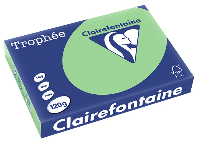 Papier - fotokopieerpapier - Clairefontaine Trophée - A4 - 120 g - pastel - natuurgroen - pak van 250 vellen