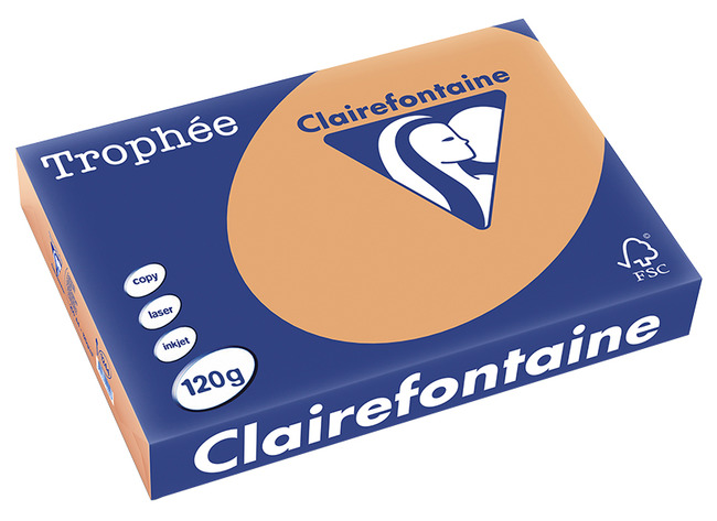 Papier - fotokopieerpapier - Clairefontaine Trophée - A4 - 120 g - pastel - karamel - pak van 250 vellen